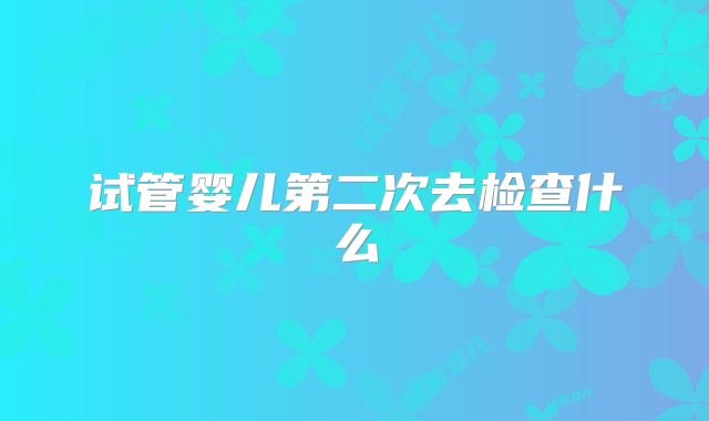 试管婴儿第二次去检查什么