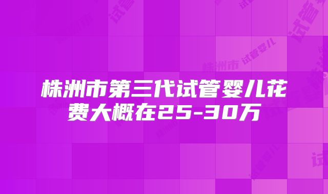 株洲市第三代试管婴儿花费大概在25-30万