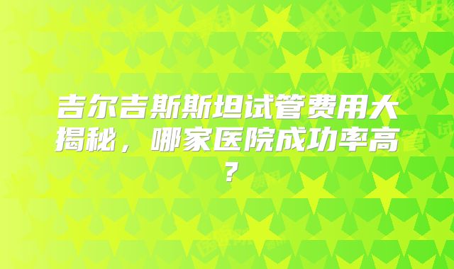 吉尔吉斯斯坦试管费用大揭秘，哪家医院成功率高？