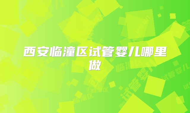 西安临潼区试管婴儿哪里做