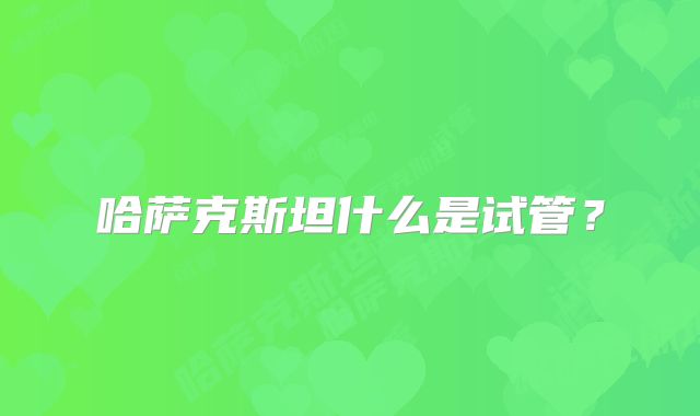 哈萨克斯坦什么是试管?