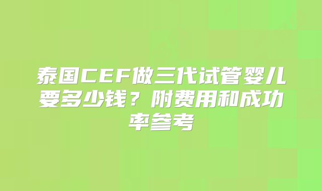 泰国CEF做三代试管婴儿要多少钱？附费用和成功率参考