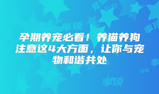 孕期养宠必看！养猫养狗注意这4大方面，让你与宠物和谐共处