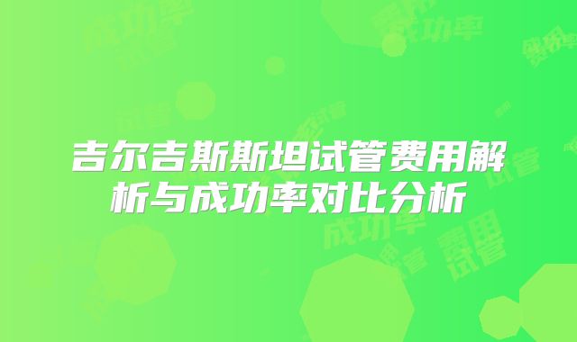 吉尔吉斯斯坦试管费用解析与成功率对比分析