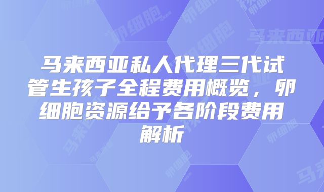 马来西亚私人代理三代试管生孩子全程费用概览,卵细胞资源给予各阶段费用解析