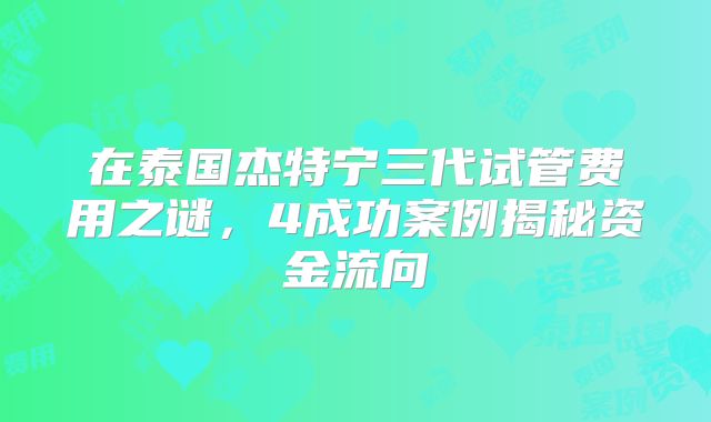 在泰国杰特宁三代试管费用之谜,4成功案例揭秘资金流向