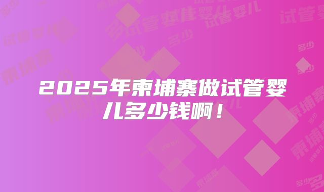 2025年柬埔寨做试管婴儿多少钱啊！