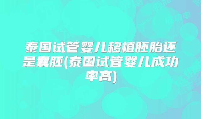 泰国试管婴儿移植胚胎还是囊胚(泰国试管婴儿成功率高)
