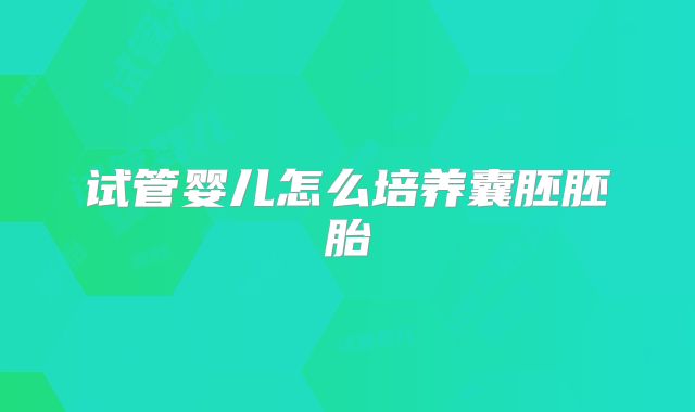 试管婴儿怎么培养囊胚胚胎