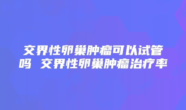 交界性卵巢肿瘤可以试管吗 交界性卵巢肿瘤治疗率