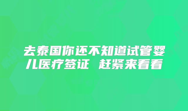 去泰国你还不知道试管婴儿医疗签证 赶紧来看看