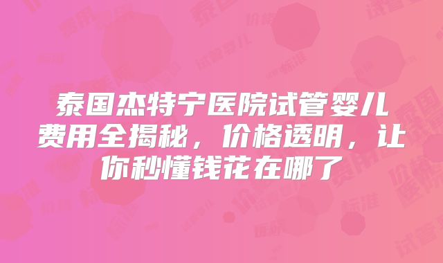 泰国杰特宁医院试管婴儿费用全揭秘,价格透明,让你秒懂钱花在哪了