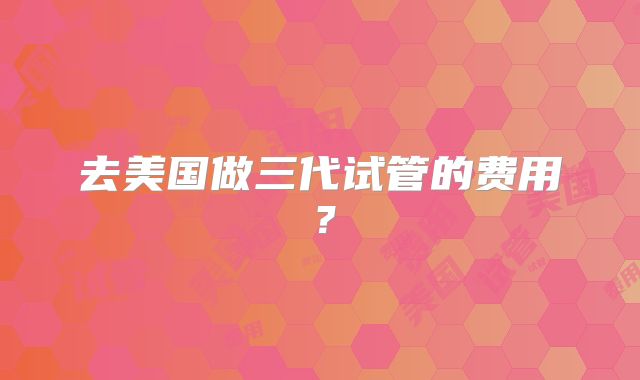 去美国做三代试管的费用？