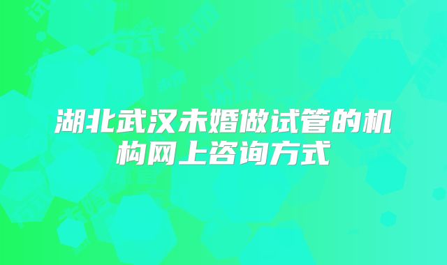 湖北武汉未婚做试管的机构网上咨询方式