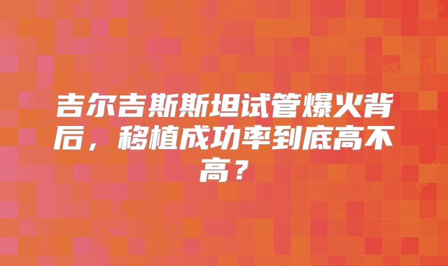 吉尔吉斯斯坦试管爆火背后，移植成功率到底高不高？