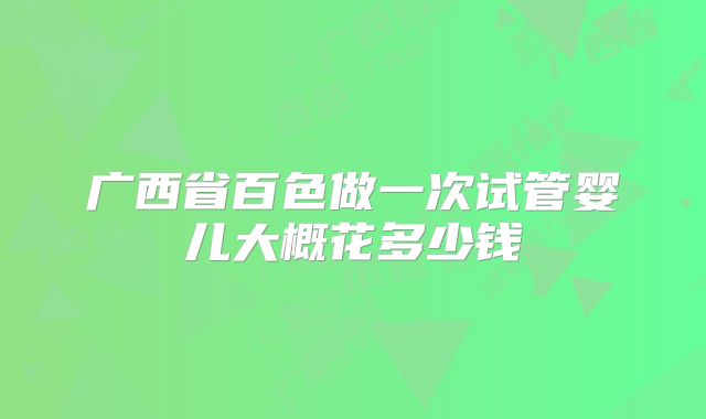 广西省百色做一次试管婴儿大概花多少钱