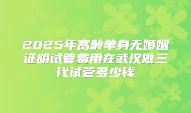 2025年高龄单身无婚姻证明试管费用在武汉做三代试管多少钱