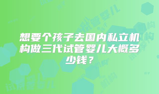 想要个孩子去国内私立机构做三代试管婴儿大概多少钱?