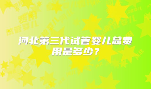 河北第三代试管婴儿总费用是多少？