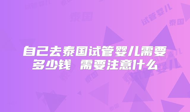 自己去泰国试管婴儿需要多少钱 需要注意什么