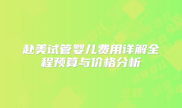 赴美试管婴儿费用详解全程预算与价格分析