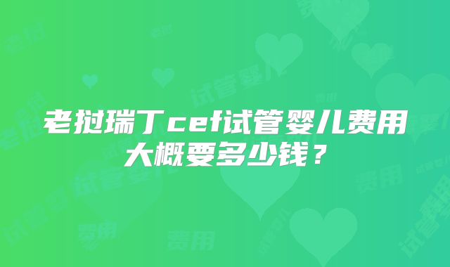 老挝瑞丁cef试管婴儿费用大概要多少钱？