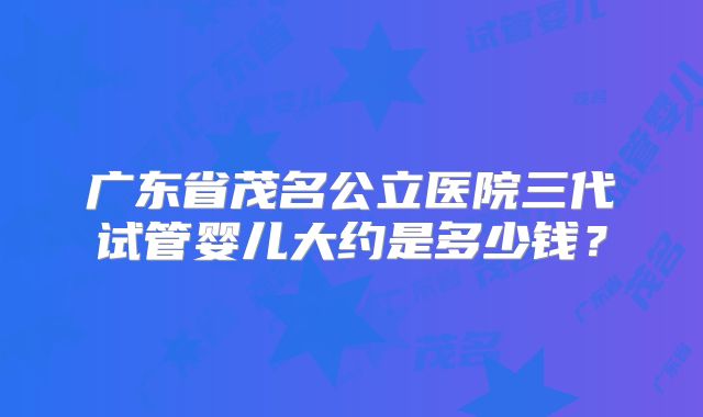广东省茂名公立医院三代试管婴儿大约是多少钱？