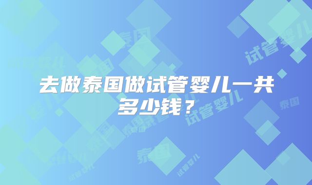去做泰国做试管婴儿一共多少钱？