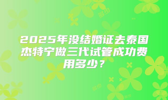 2025年没结婚证去泰国杰特宁做三代试管成功费用多少?