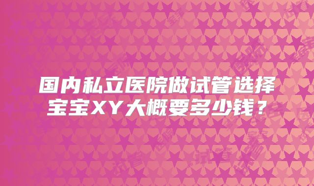 国内私立医院做试管选择宝宝XY大概要多少钱?