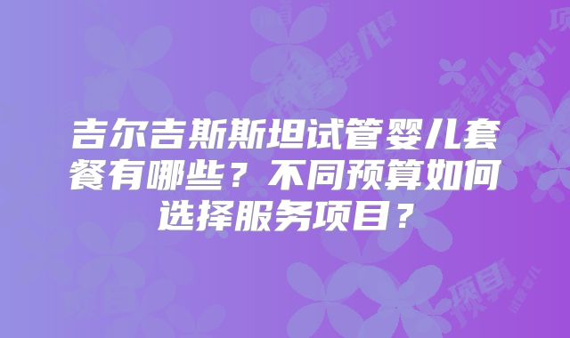 吉尔吉斯斯坦试管婴儿套餐有哪些？不同预算如何选择服务项目？