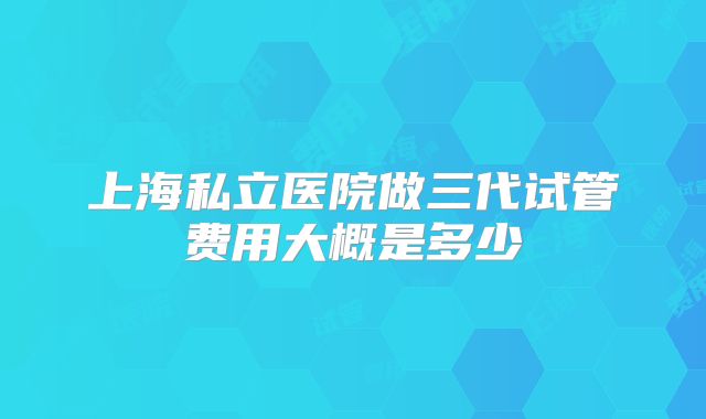 上海私立医院做三代试管费用大概是多少