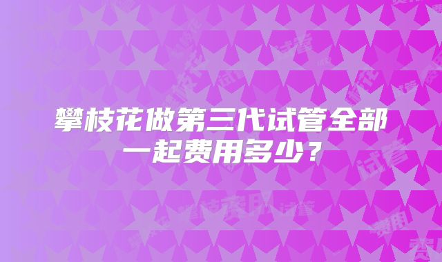 攀枝花做第三代试管全部一起费用多少？