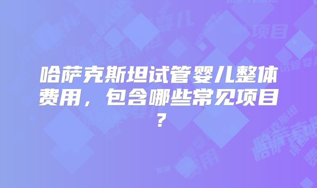 哈萨克斯坦试管婴儿整体费用，包含哪些常见项目？
