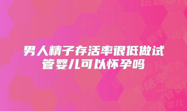 男人精子存活率很低做试管婴儿可以怀孕吗