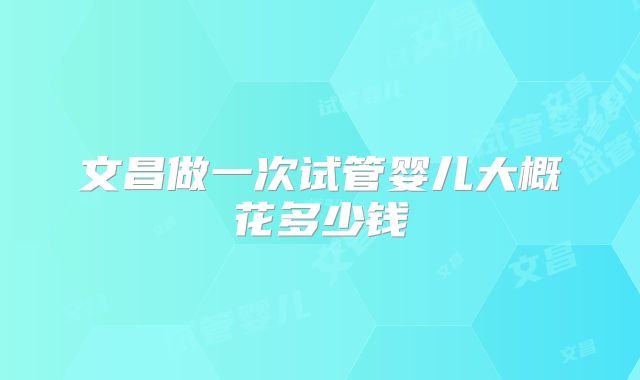 文昌做一次试管婴儿大概花多少钱