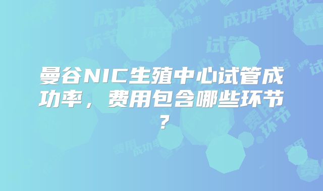 曼谷NIC生殖中心试管成功率，费用包含哪些环节？