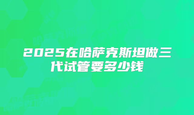 2025在哈萨克斯坦做三代试管要多少钱