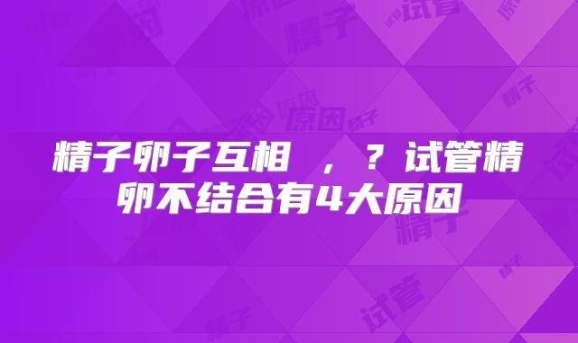 精子卵子互相 ,?试管精卵不结合有4大原因