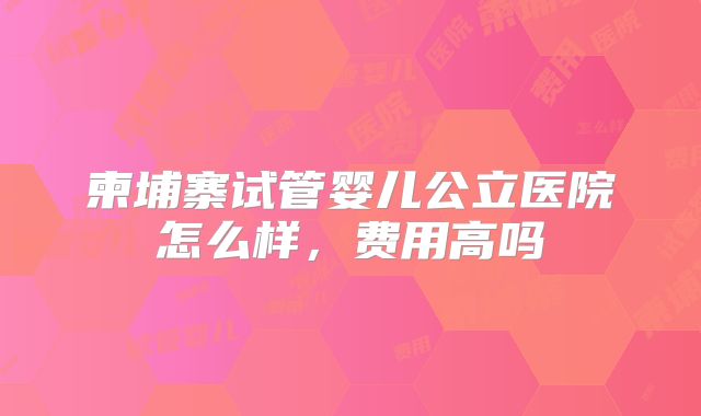 柬埔寨试管婴儿公立医院怎么样,费用高吗