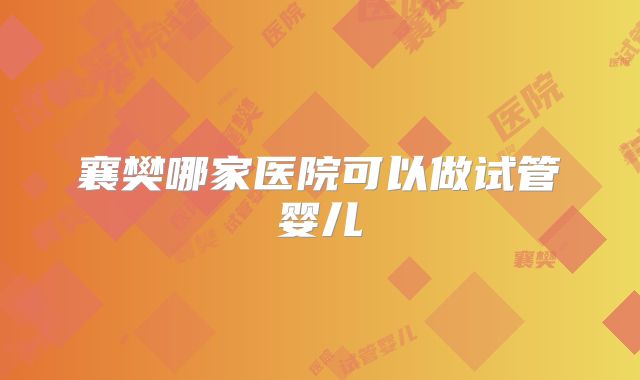 襄樊哪家医院可以做试管婴儿