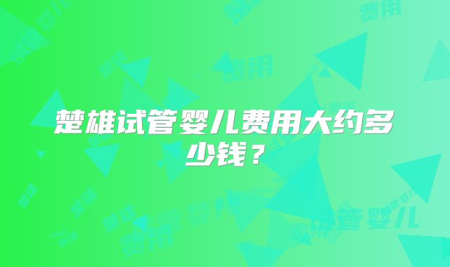 楚雄试管婴儿费用大约多少钱?
