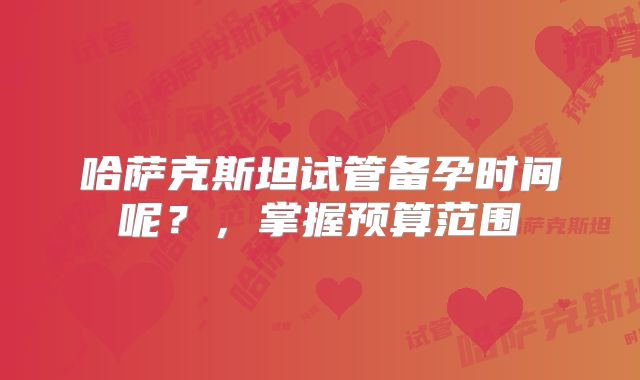 哈萨克斯坦试管备孕时间呢?,掌握预算范围