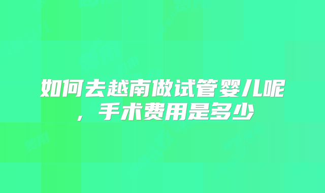 如何去越南做试管婴儿呢，手术费用是多少