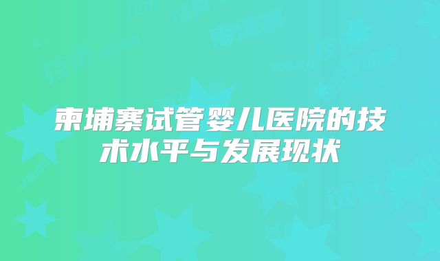 柬埔寨试管婴儿医院的技术水平与发展现状