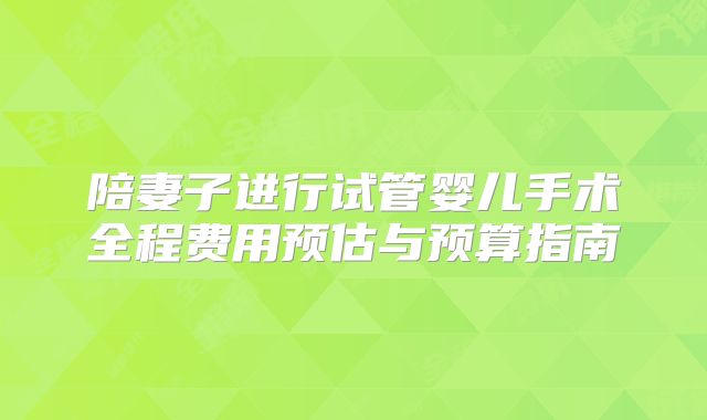 陪妻子进行试管婴儿手术全程费用预估与预算指南