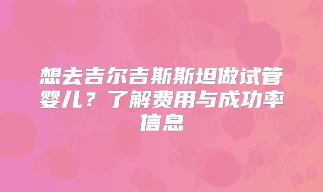 想去吉尔吉斯斯坦做试管婴儿？了解费用与成功率信息