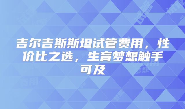 吉尔吉斯斯坦试管费用,性价比之选,生育梦想触手可及