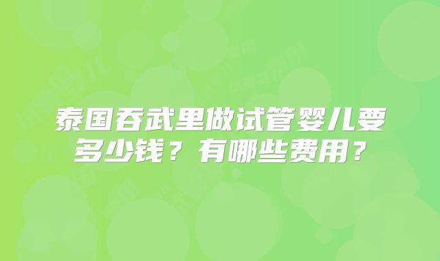 泰国吞武里做试管婴儿要多少钱?有哪些费用?