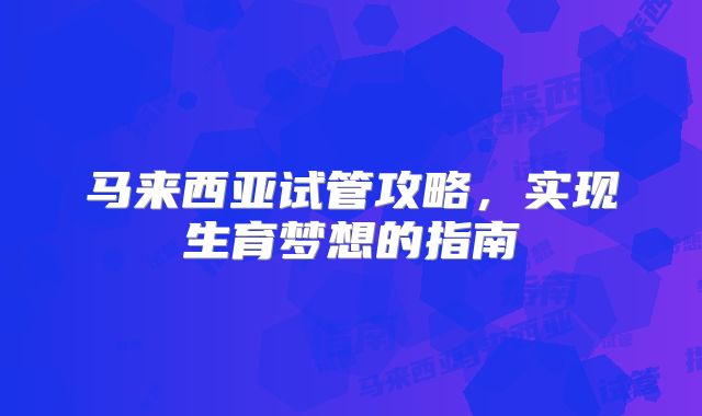马来西亚试管攻略，实现生育梦想的指南